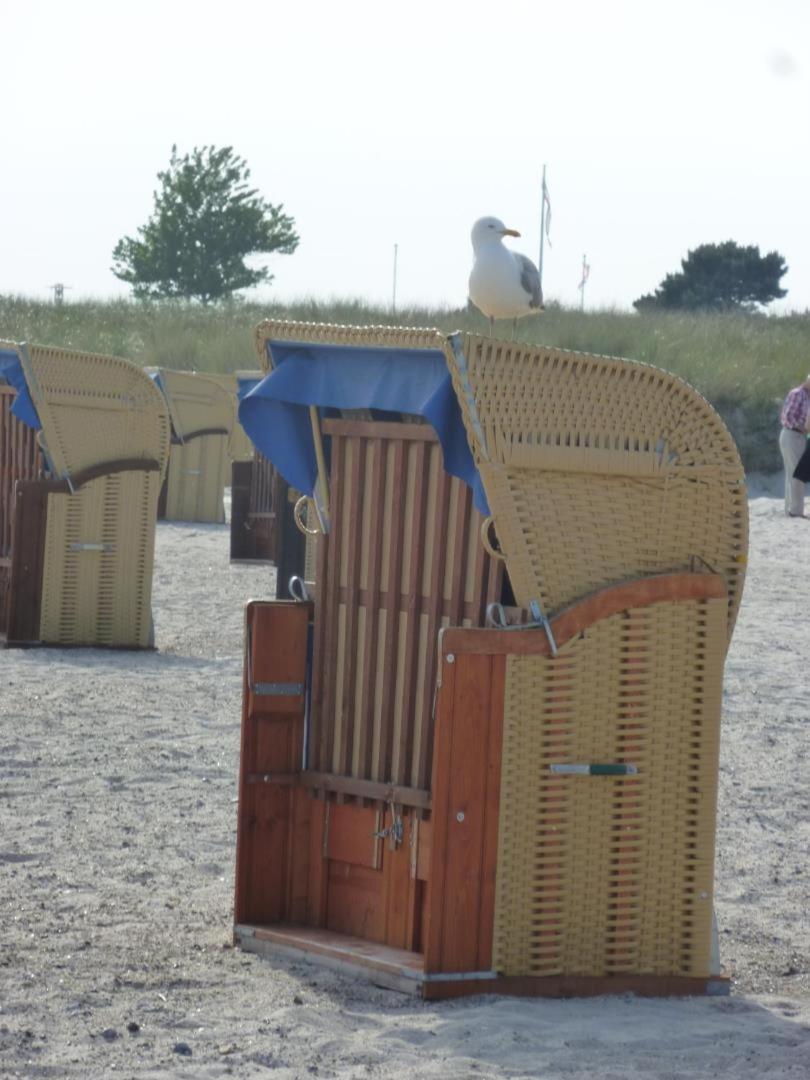 Traumhafter Ostsee-Ausblick, Fewo Direkt Am Strand Fehmarn Exteriér fotografie